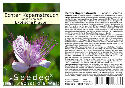 Seedeo® Echter Kapernstrauch (Capparis spinosa) 50 Samen