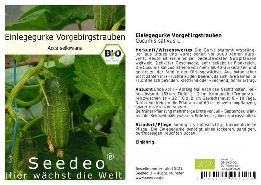 Seedeo® Einlegegurke / Gurke  Vorgebirgstrauben (Cucumis sativus L.) ca. 30 Samen BIO