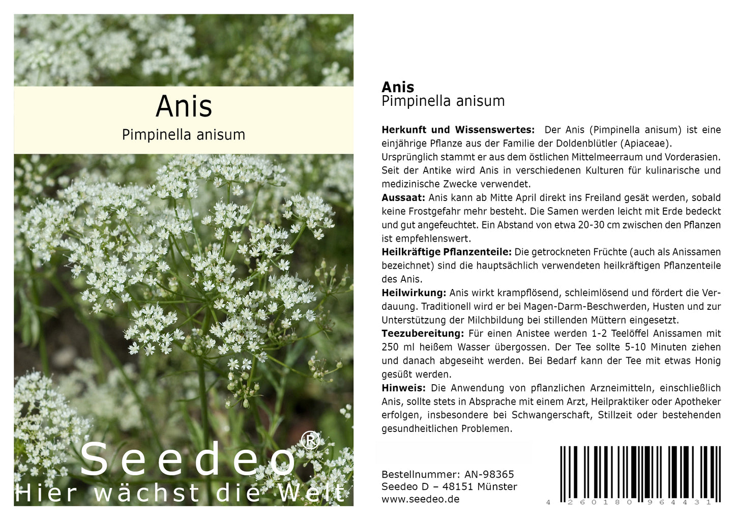 Seedeo® Anis (Pimpinella anisum) 100 Samen