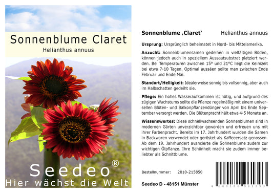 Seedeo® Sonnenblume Claret  (Helianthus annuus) 20 Samen