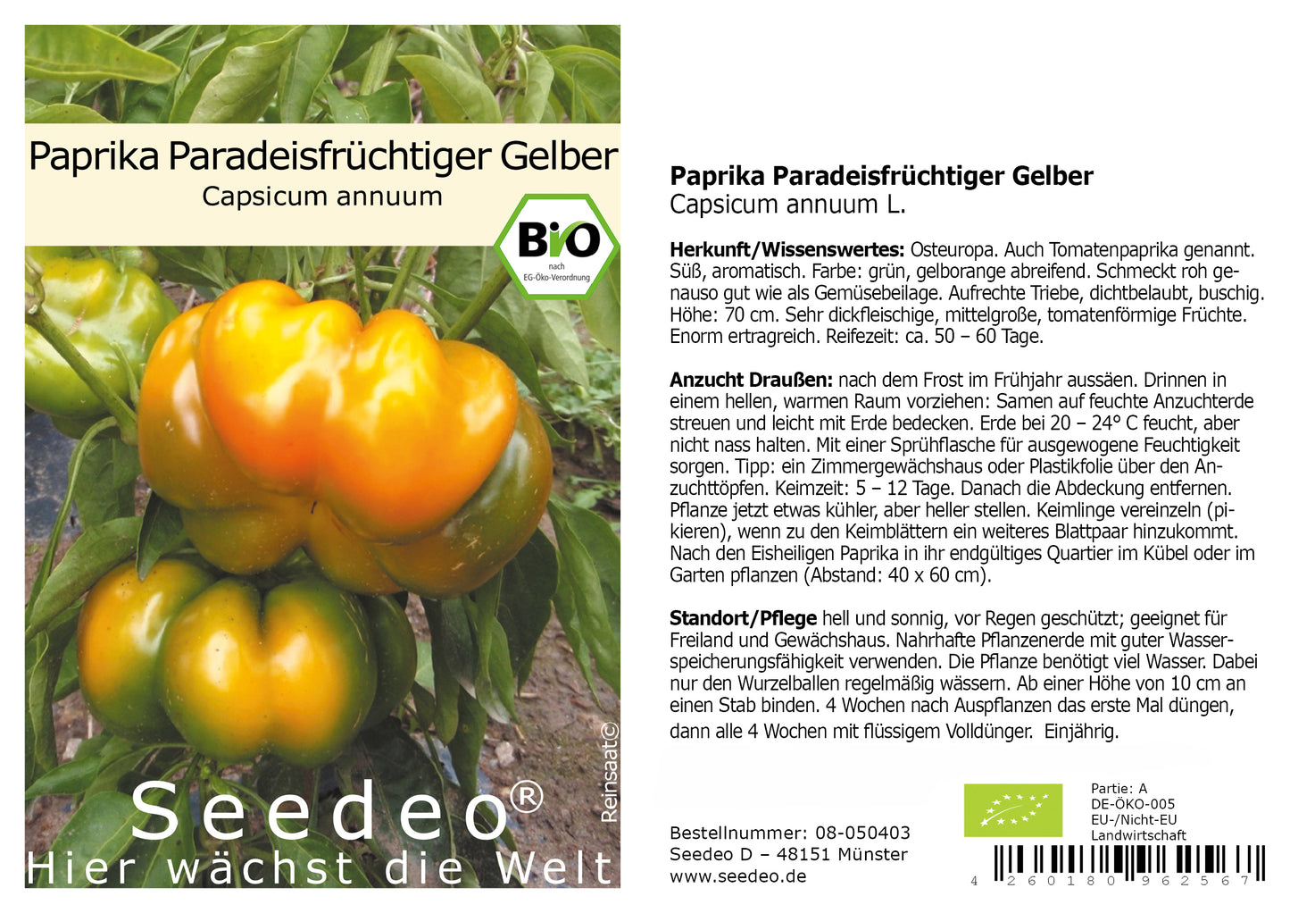 Seedeo® Paprika Paradeisfrüchtiger Gelber (Capsicum annuum) 25 Samen BIO