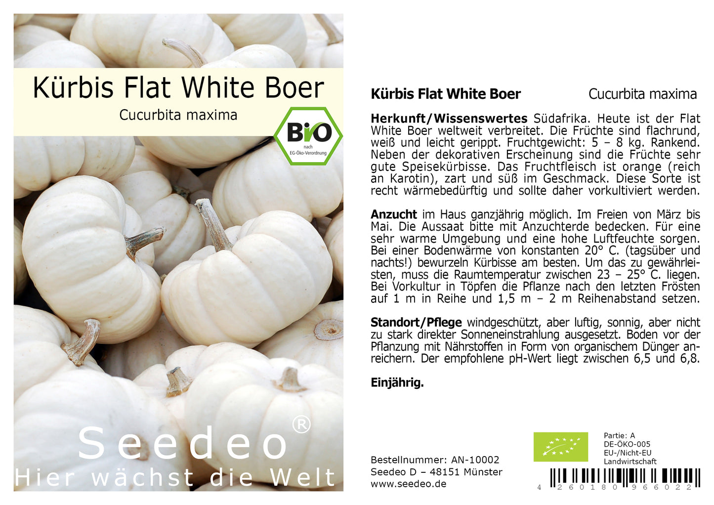 Seedeo® Kürbis Flat White Boer   (Cucurbita maxima) 10 Samen BIO