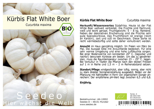 Seedeo® Kürbis Flat White Boer   (Cucurbita maxima) 10 Samen BIO