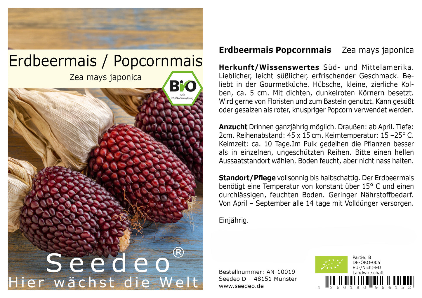 Seedeo® Erdbeermais, Popcornmais (Zea mays  japonica) ca. 20 Samen BIO