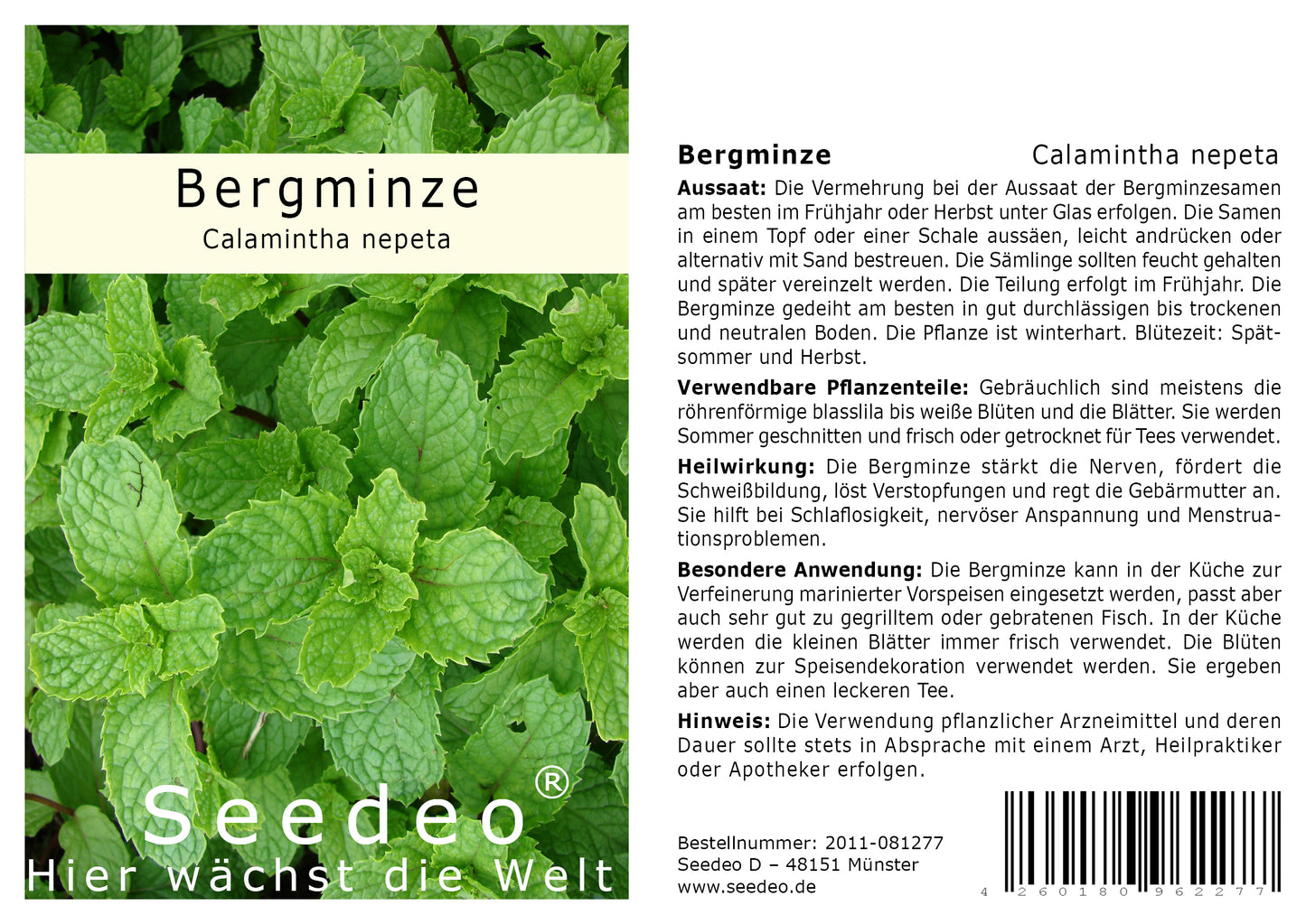 Seedeo® Bergminze  (Calamintha nepeta) 100 Samen