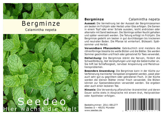 Seedeo® Bergminze  (Calamintha nepeta) 100 Samen