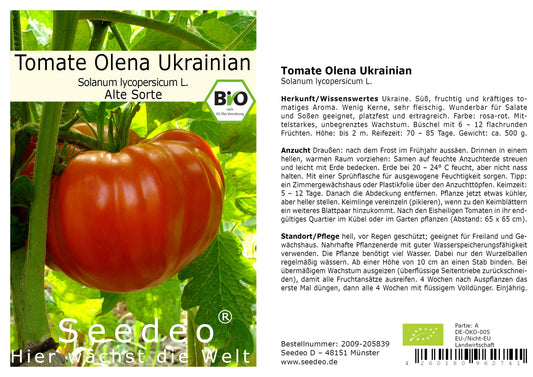 Seedeo® Tomate Olena Ukrainian (Lycopersicum L.)  25 Samen BIO