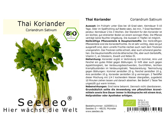 Seedeo® Thai Koriander (Coriandrum Sativum) 50 Samen Bio