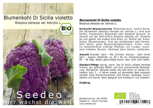 Seedeo® Blumenkohl Di Sicilia violetto (Brassica oleracea var. botrytis L.) 80 Samen BIO