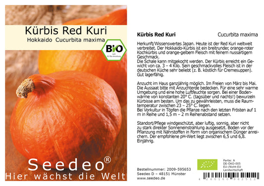 Seedeo® Kürbis Red Kuri (Cucurbita maxima) 10 Samen BIO