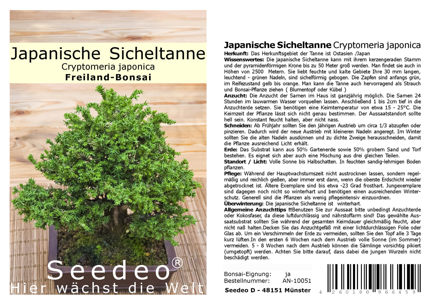 Seedeo® Japanische Sicheltanne (Cryptomeria japonica) Bonsai 100 Samen