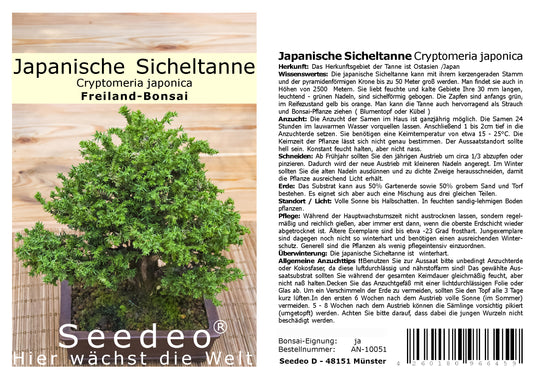 Seedeo® Japanische Sicheltanne (Cryptomeria japonica) Bonsai 100 Samen