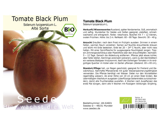 Seedeo® Tomate Black Plum (Lycopersicum esculentum Mill.) 20 Samen BIO