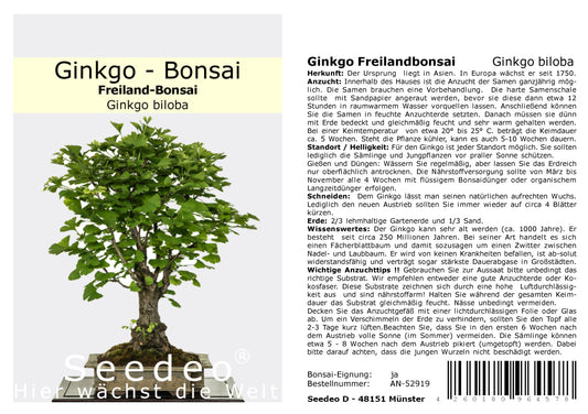 Seedeo® Ginkgo Freilandbonsai (Ginkgo biloba) Bonsai 6 Samen