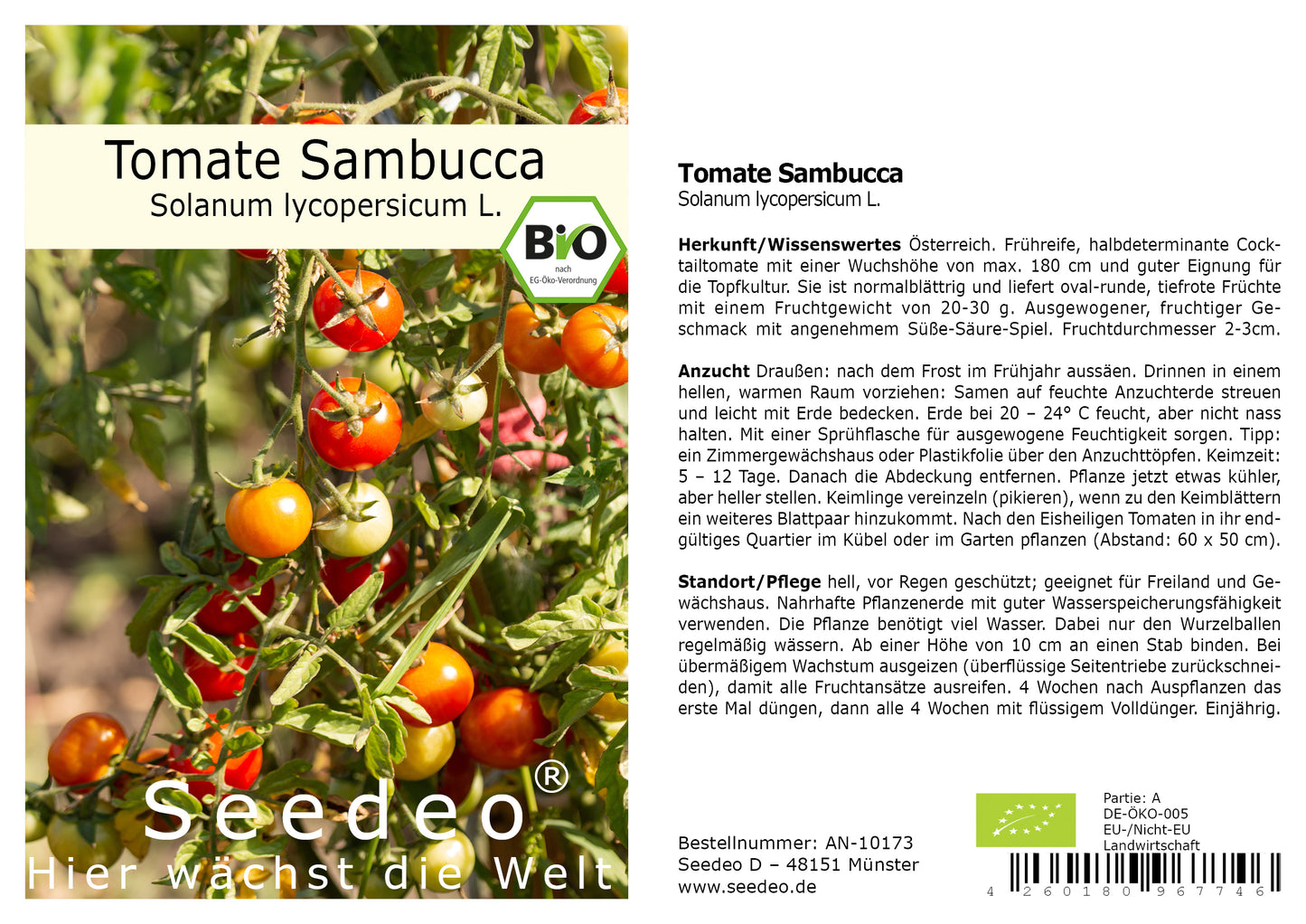 Seedeo® Tomate Sambucca (Solanum Lycopersicum L.) 25 Samen BIO