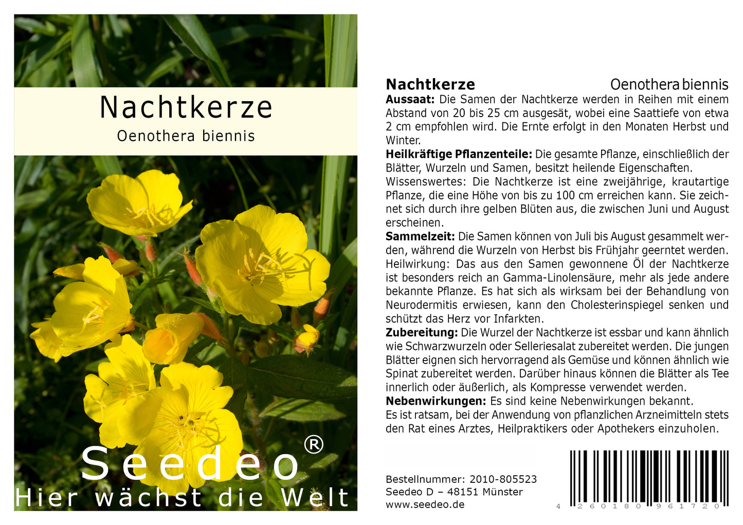 Seedeo® Nachtkerze (Oenothera biennis) 200 Samen