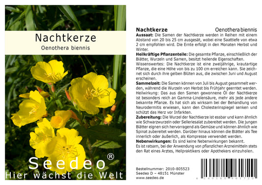 Seedeo® Nachtkerze (Oenothera biennis) 200 Samen