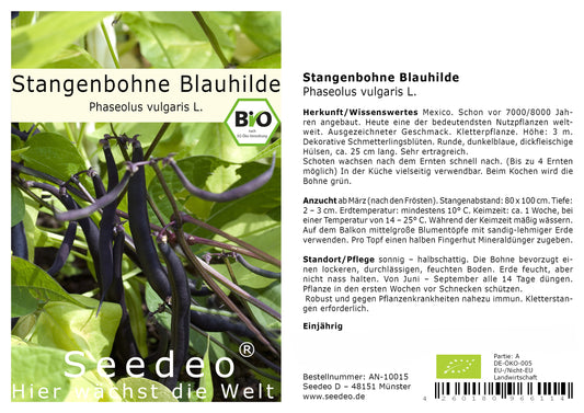 Seedeo® Stangenbohne 'Blauhilde' (Phaseolus vulgaris L.) 30 Samen BIO