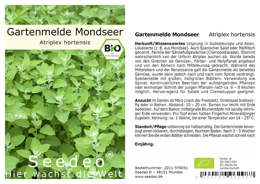 Seedeo® Gartenmelde Mondseer (Atriplex hortensis) 300 Samen Samen BIO