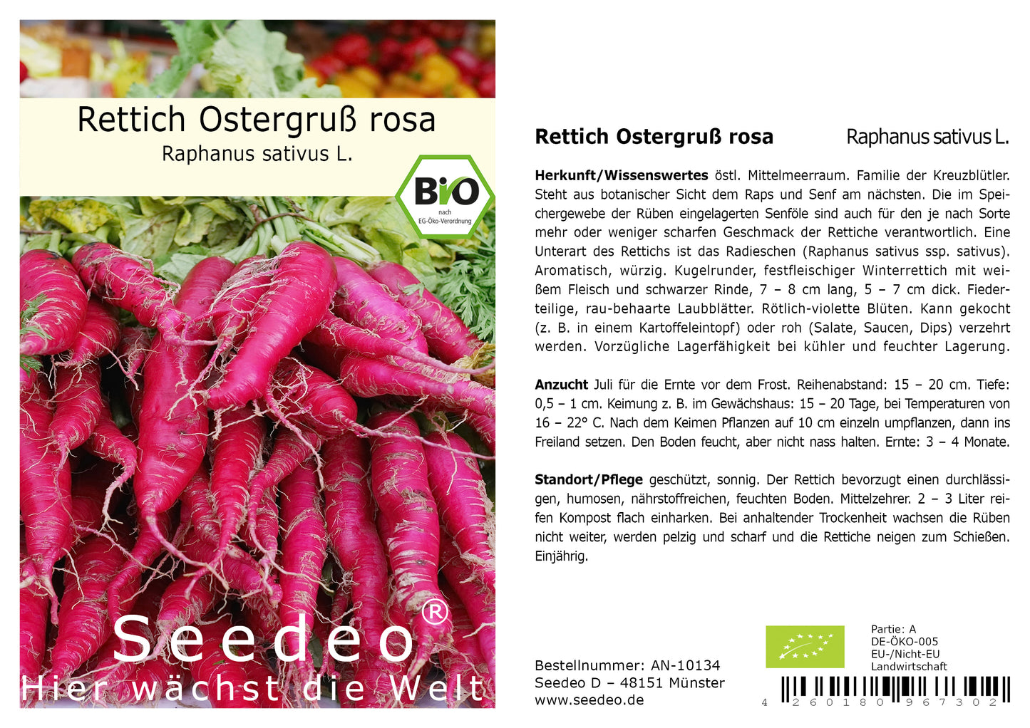 Seedeo® Rettich Ostergruß rosa (Raphanus sativus L.) 250 Samen BIO