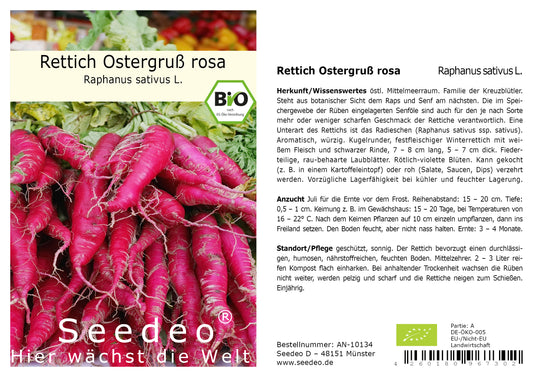 Seedeo® Rettich Ostergruß rosa (Raphanus sativus L.) 250 Samen BIO