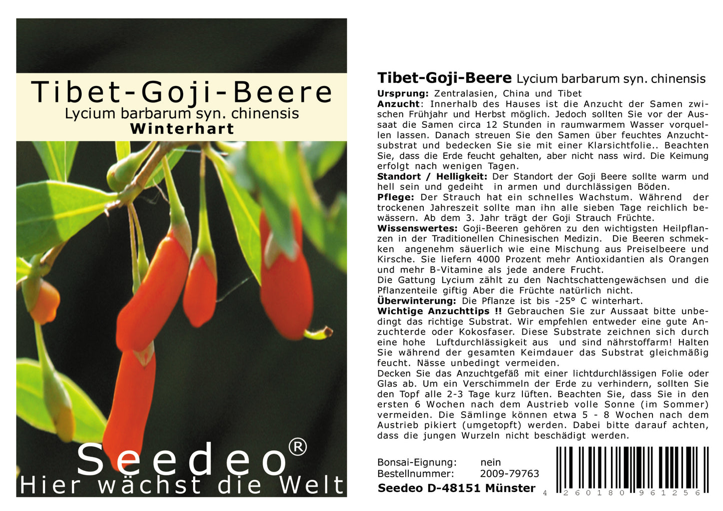 Seedeo® Goji-Beere (Lycium barbarum syn. chinensis) 50 Samen