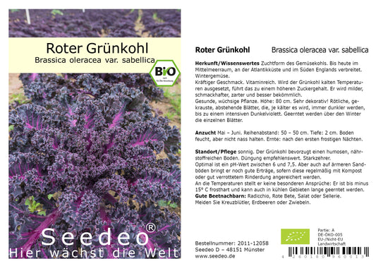 Seedeo® Roter Grünkohl  (Brassica oleracea var. sabellica)  100 Samen BIO