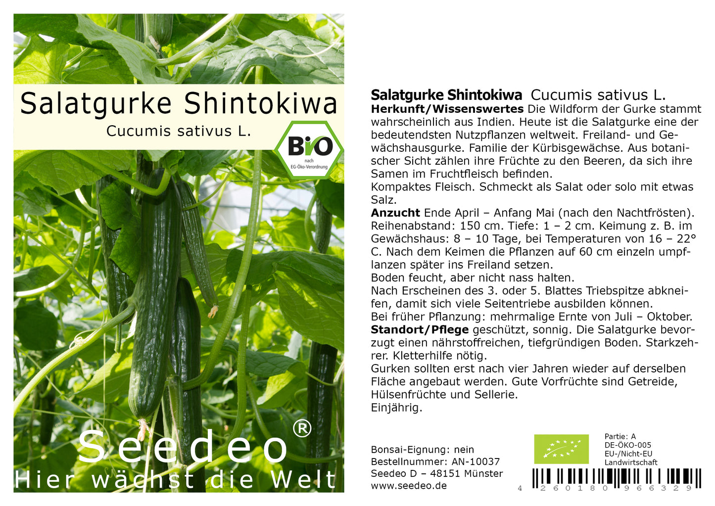 Seedeo® Salatgurke Shintokiwa (Cucumis sativus) 20 Samen BIO