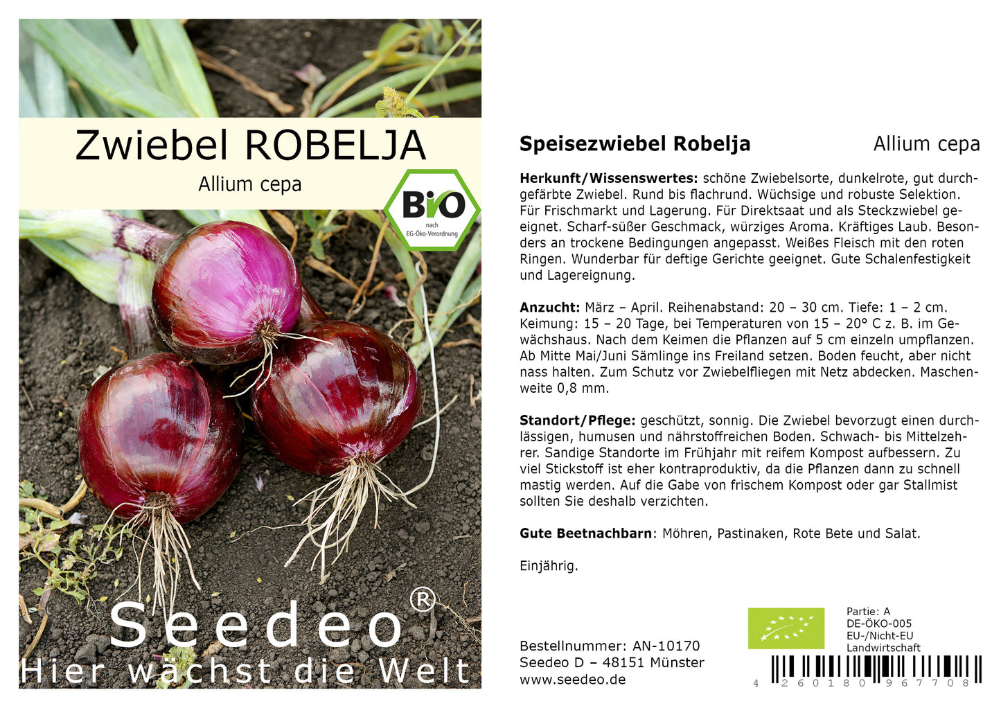 Seedeo® Zwiebel Robelja (Allium cepa) 200 Samen BIO