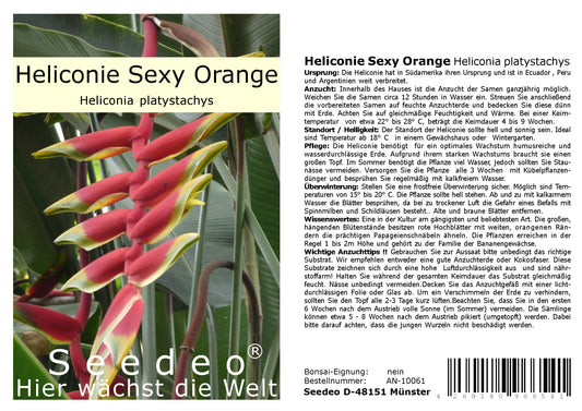 Seedeo® Heliconie Sexy Orange (Heliconia platystachys) 10 Samen