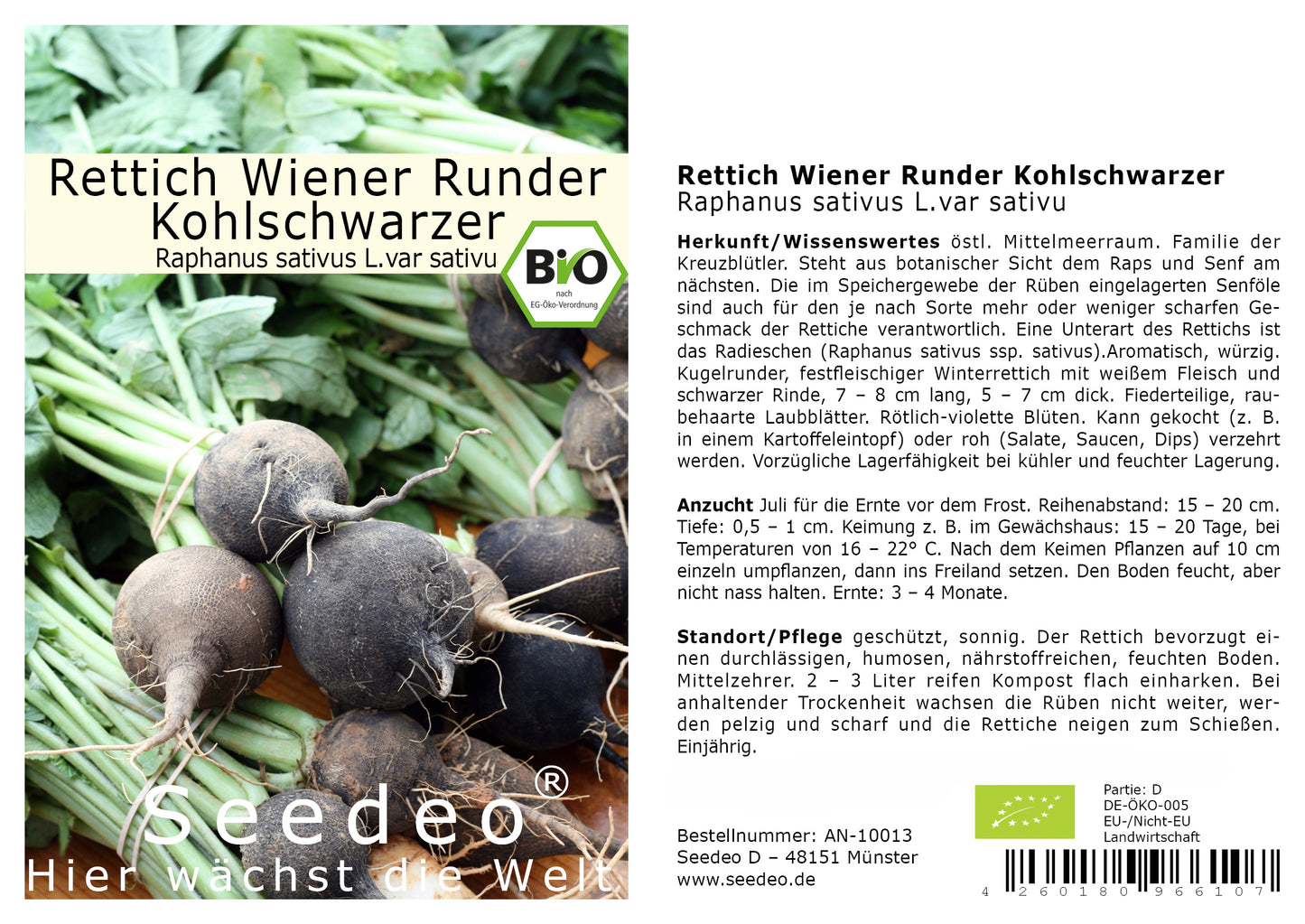 Seedeo® Rettich Wiener Runder Kohlschwarzer (Raphanus sativus L.) 100 Samen BIO