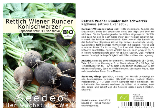 Seedeo® Rettich Wiener Runder Kohlschwarzer (Raphanus sativus L.) 100 Samen BIO