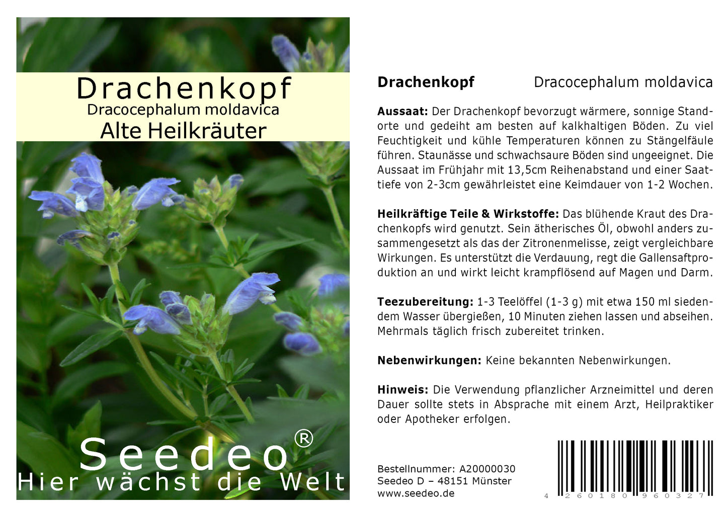 Seedeo® Drachenkopf (Dracocephalum moldavica) 200 Samen