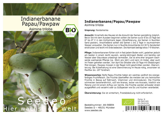 Seedeo® Indianerbanane / Papau / Pawpaw (Asimina triloba) 3 Samen BIO