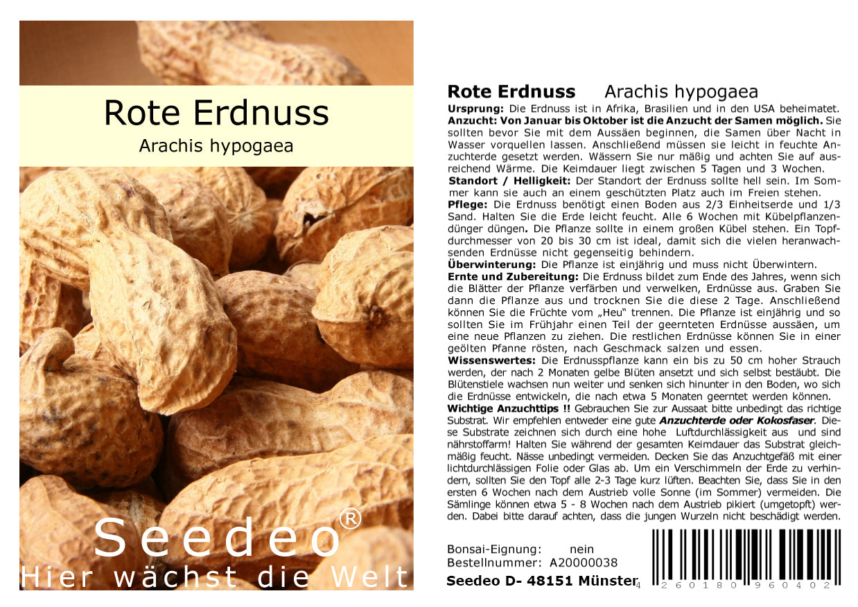 Seedeo® Erdnuss (Arachis hypogaea) 10 Samen