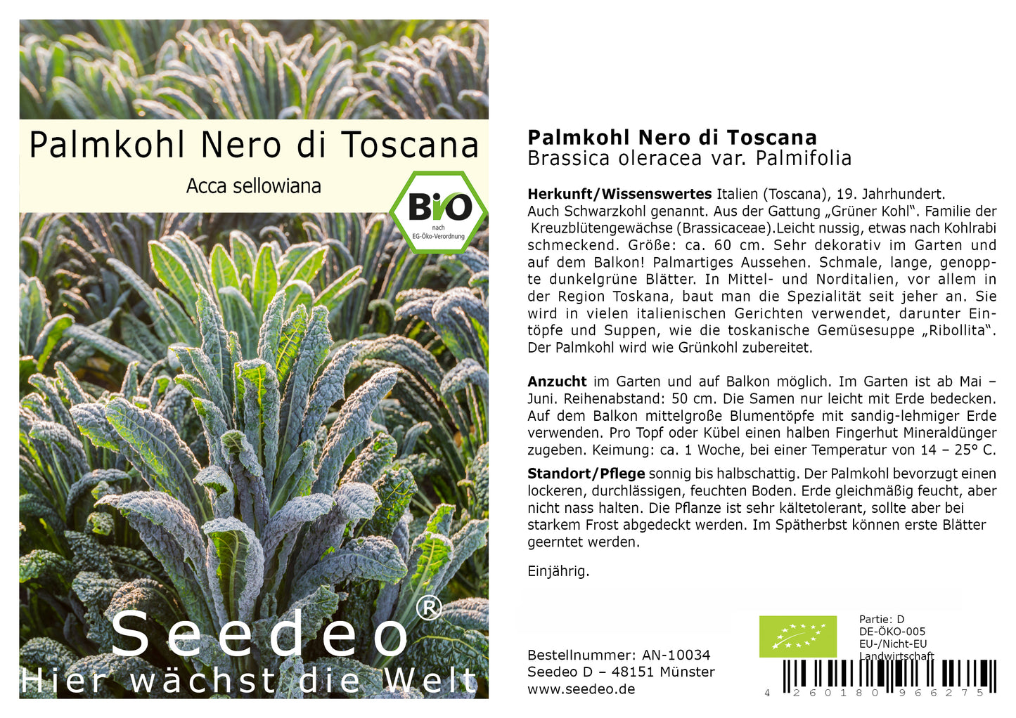 Seedeo® Palmkohl Nero di Toscana (Brassica oleracea var. Palmifolia) 150 Samen BIO