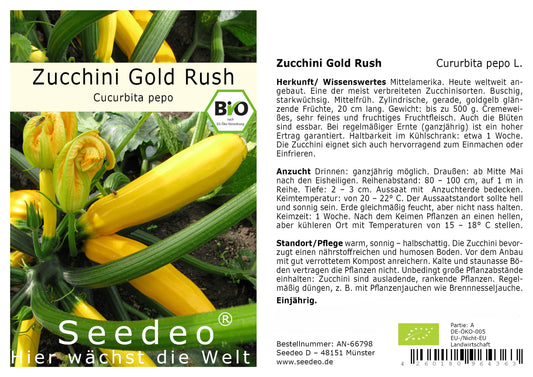 Seedeo® Zucchini  Gold Rush (Cururbita pepo L.) 20 Samen BIO