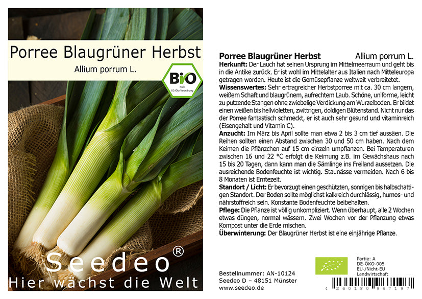 Seedeo® Porree Blaugrüner Herbst (Allium porrum L.) ca.150 Samen BIO