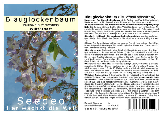 Seedeo® Blauglockenbaum - (Paulownia tomentosa)  200 Samen