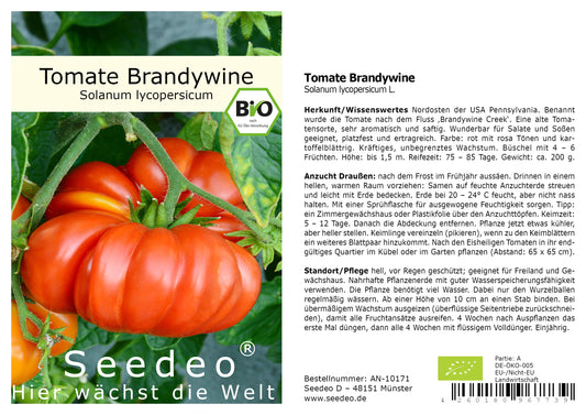 Seedeo® Tomate Brandywine (Solanum Lycopersicum L.) 25 Samen BIO