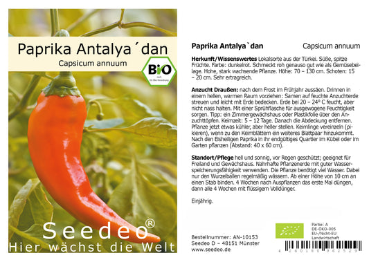 Seedeo® Paprika Antalya´ dan (Capsicum annuum) 20 Samen BIO