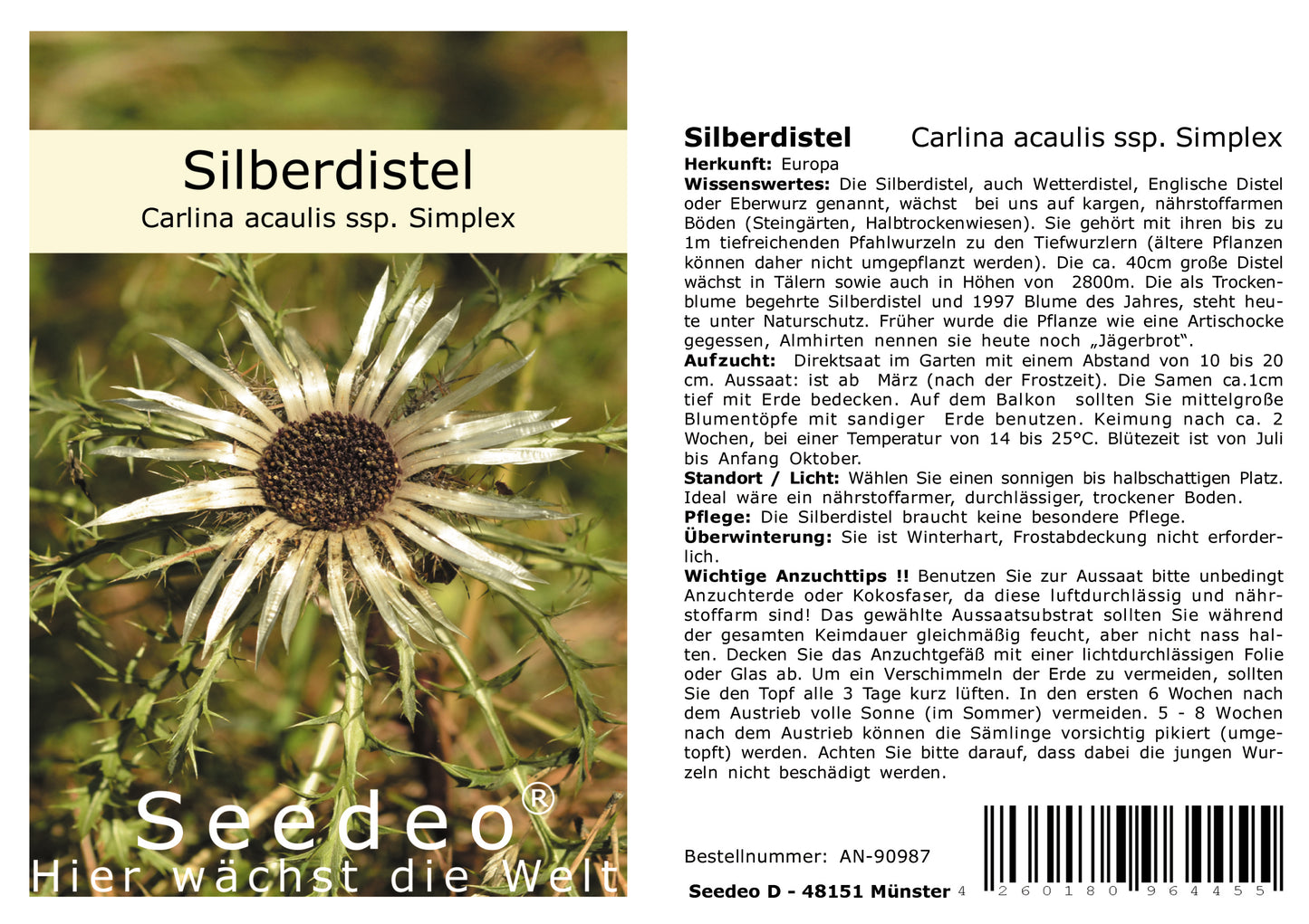 Seedeo® Silberdistel (Carlina acaulis ssp. Simplex) 30 Samen