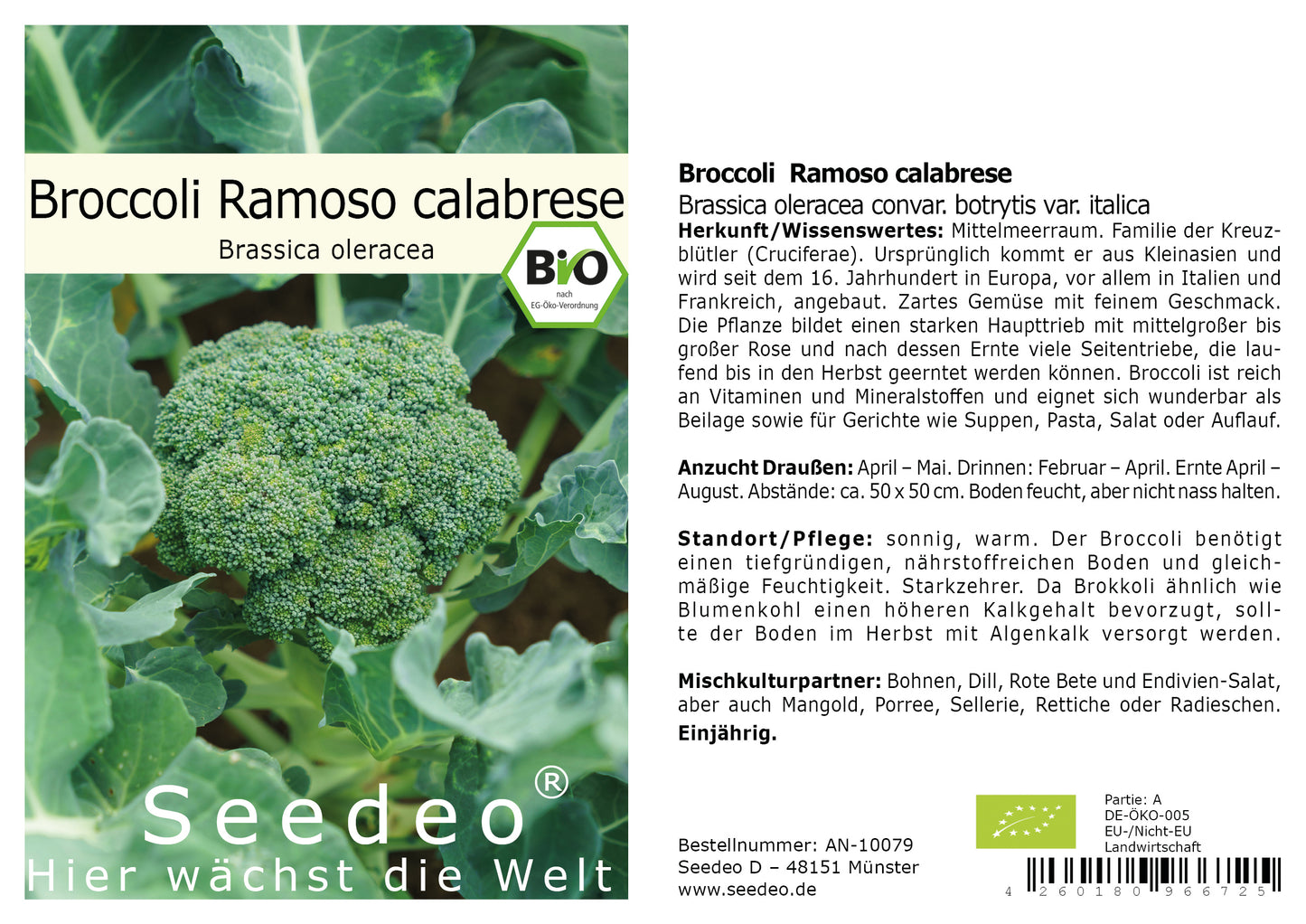 Seedeo® Broccoli Ramoso calabrese (Brassica oleracea convar. botrytis var. italica)  50 Samen BIO