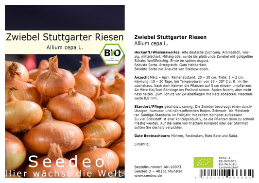 Seedeo® Zwiebel Stuttgarter Riesen (Allium cepa L.) 300 Samen BIO