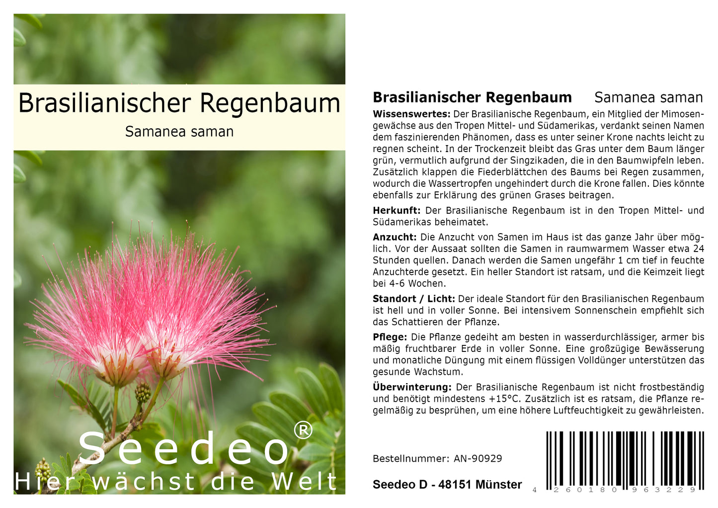 Seedeo® Brasilianischer Regenbaum Samanea Saman 15 Samen