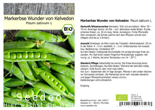 Seedeo® Markerbse Wunder von Kelvedon (Pisum sativum L) ca. 100 Samen BIO