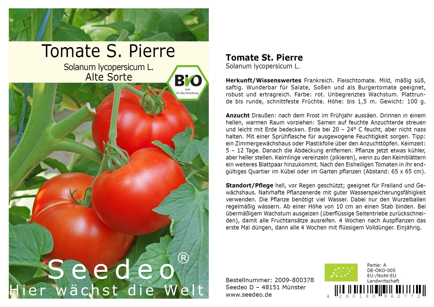 Seedeo® Tomate St. Pierre (Lycopersicum L.) 25 Samen BIO