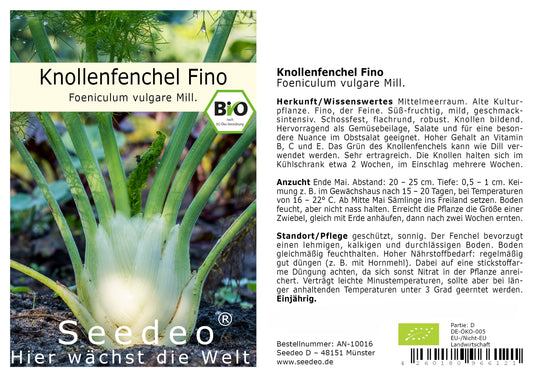 Seedeo® Knollenfenchel Fino   (Foeniculum vulgare Mill.) 80 Samen BIO