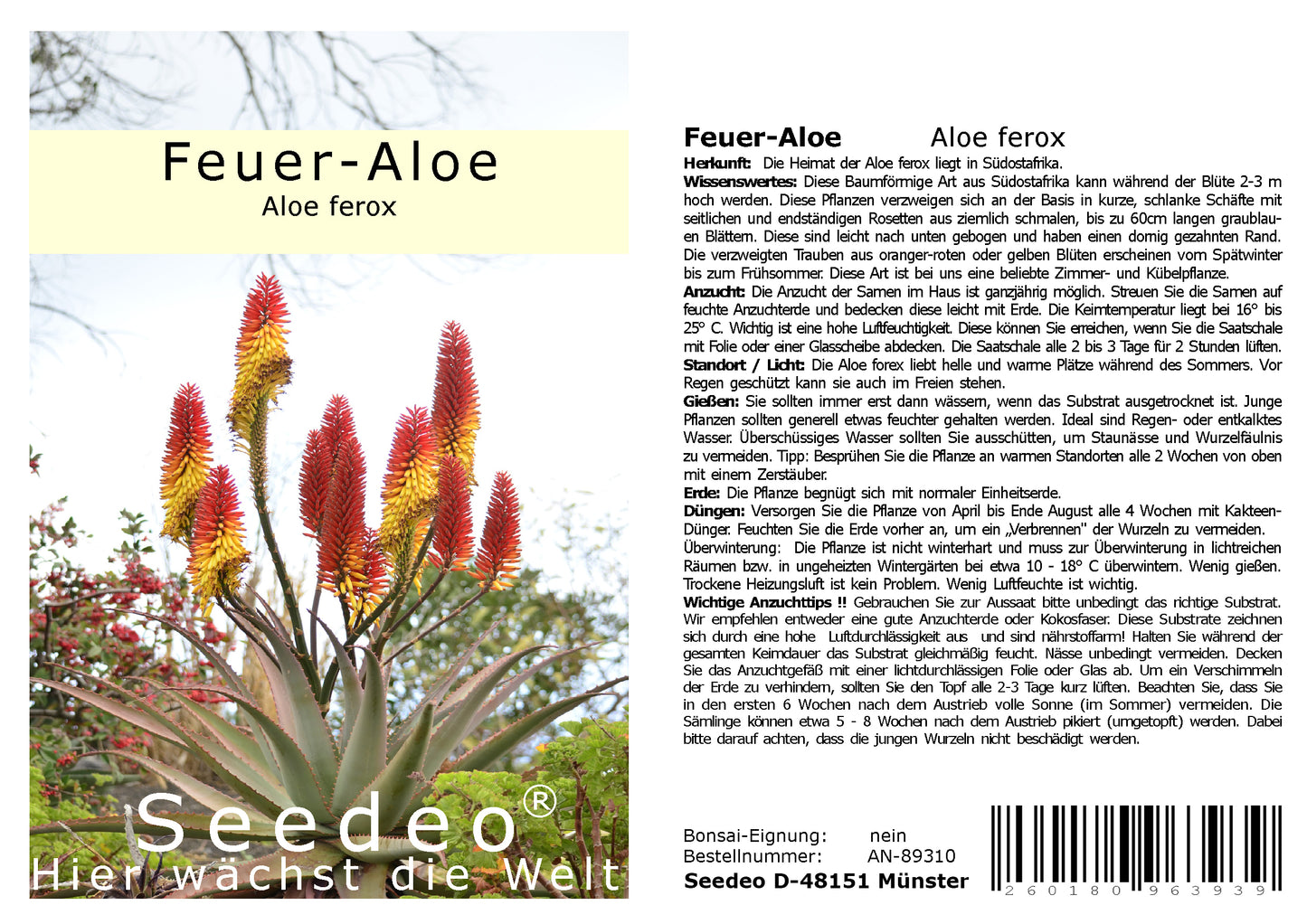 Seedeo® Feuer-Aloe (Aloe ferox) 10 Samen