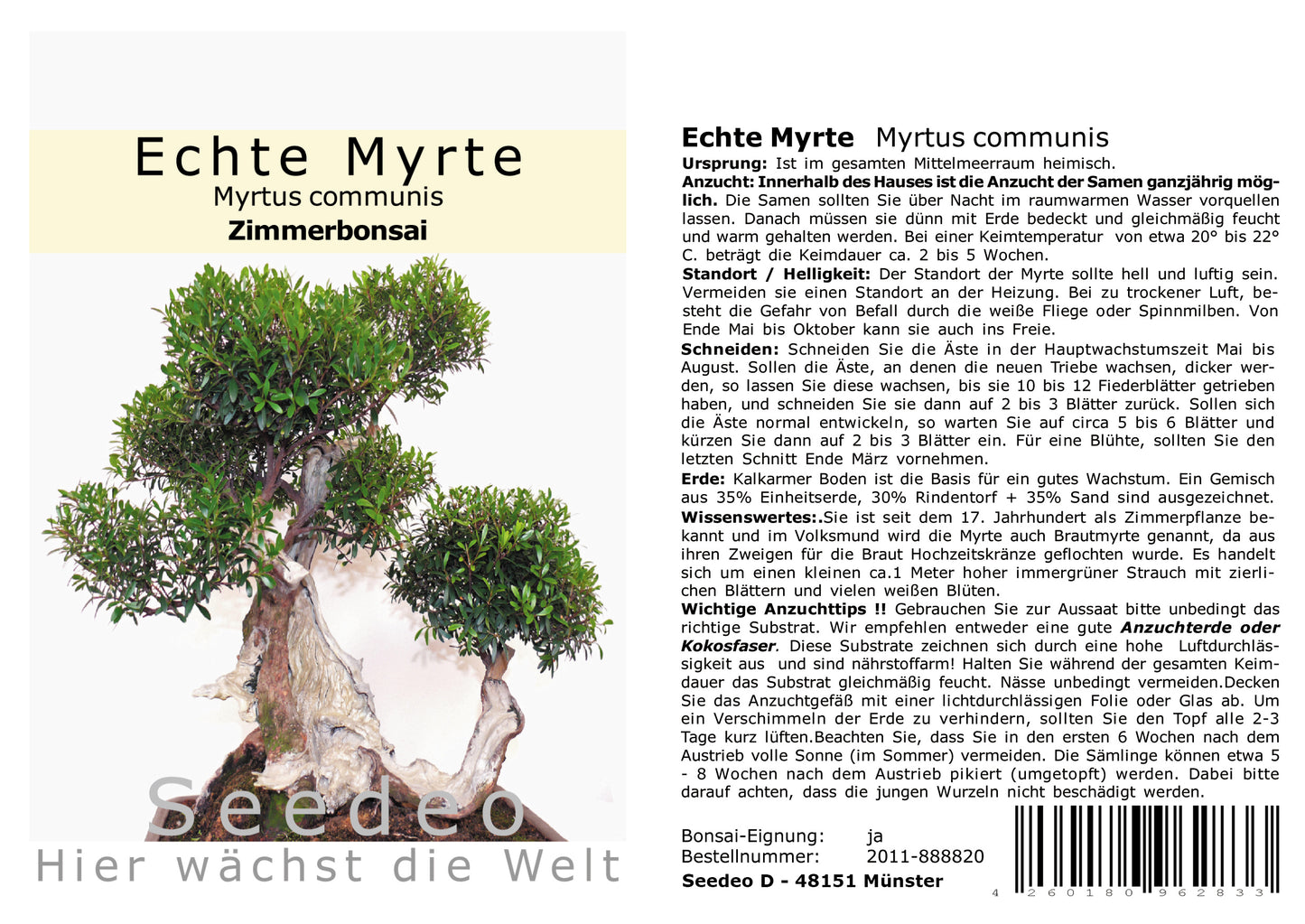 Seedeo® Echte Myrte Bonsai 30 Samen